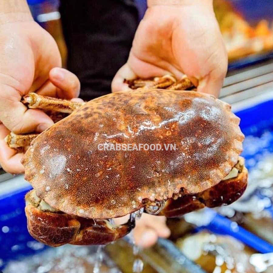 3 cách làm món cua nâu ireland thơm ngon - Crab Seafood