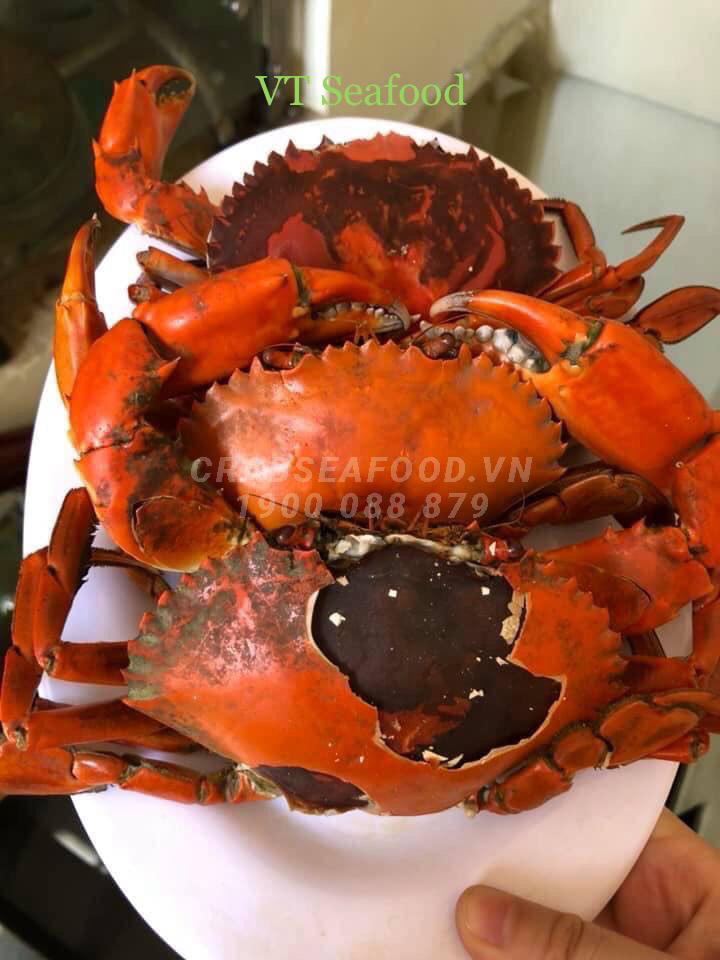 Cua cốm sống - Crab Seafood