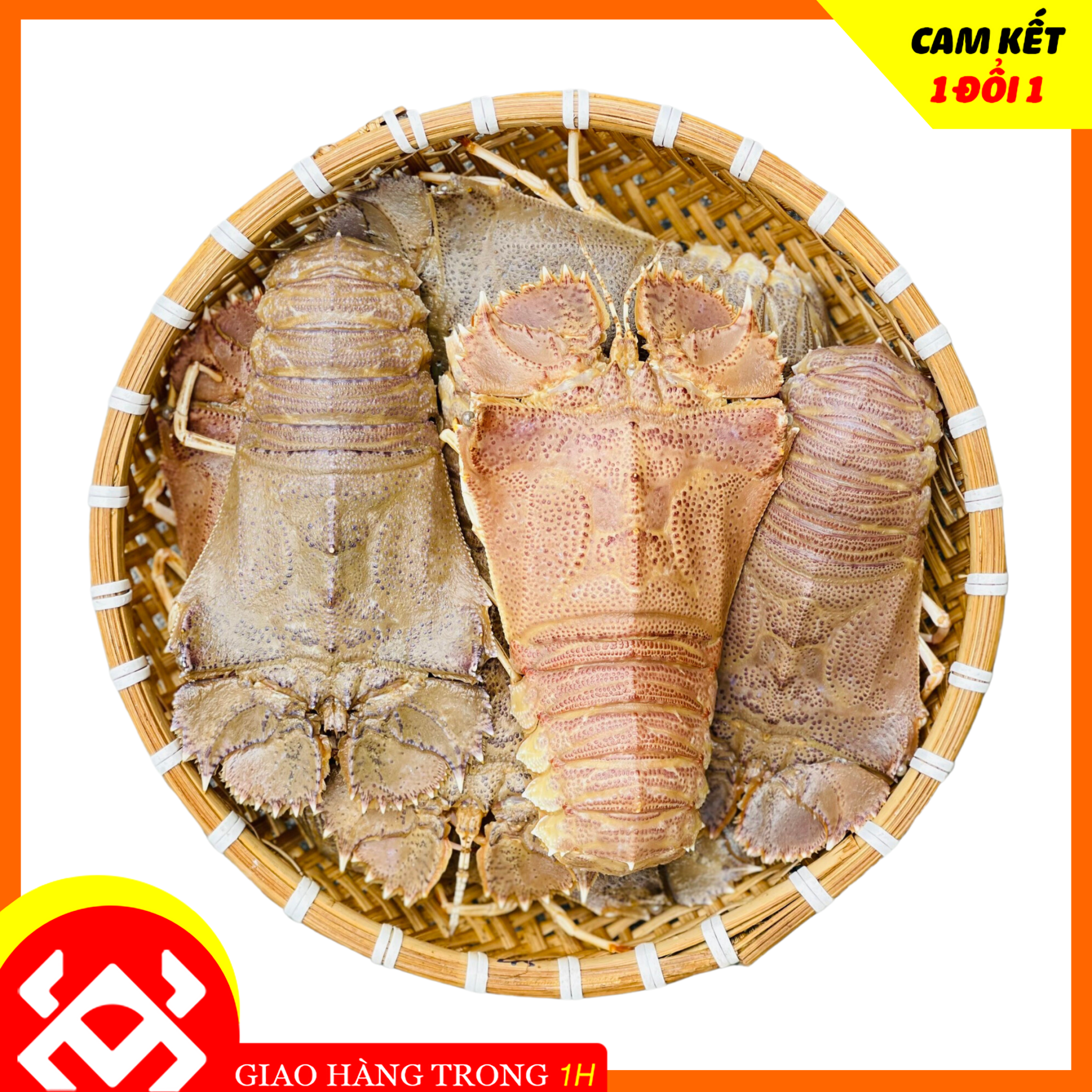 Tom Mu Colal Tôm Mũ Ni Tươi Sống - Hải Sản Tươi Sống, Giao Nhanh - Crab Seafood
