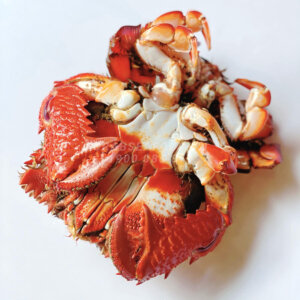 Cua huỳnh đế tươi sống - Crab Seafood
