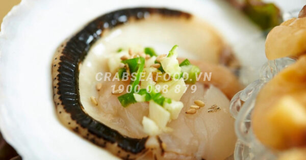 Sò Điệp Nhật Tươi Sống - Crab Seafood
