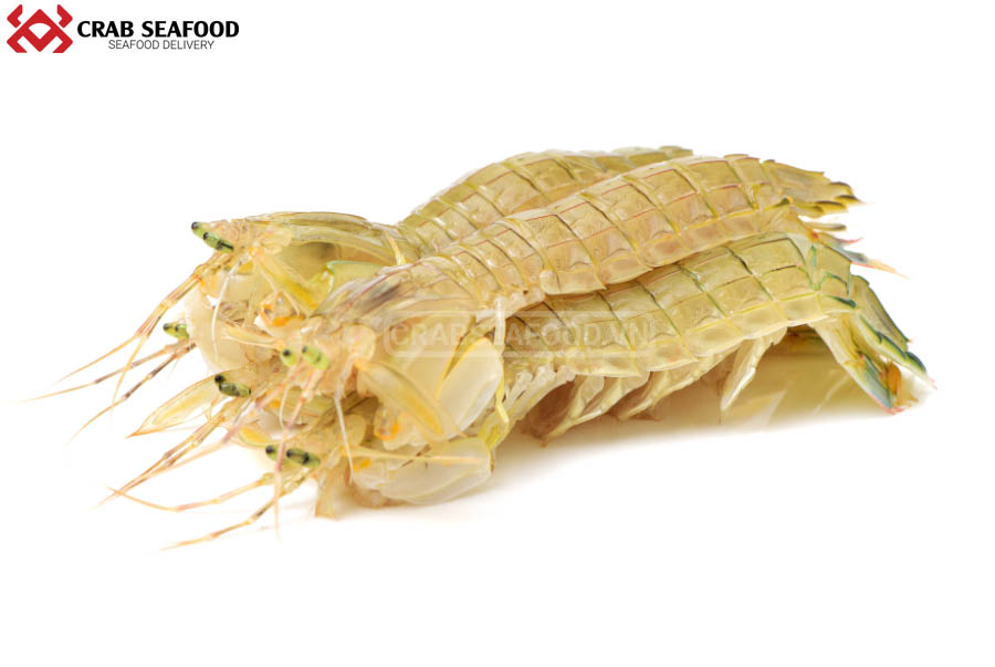 Cách chọn tôm tích tươi sống - Crab Seafood
