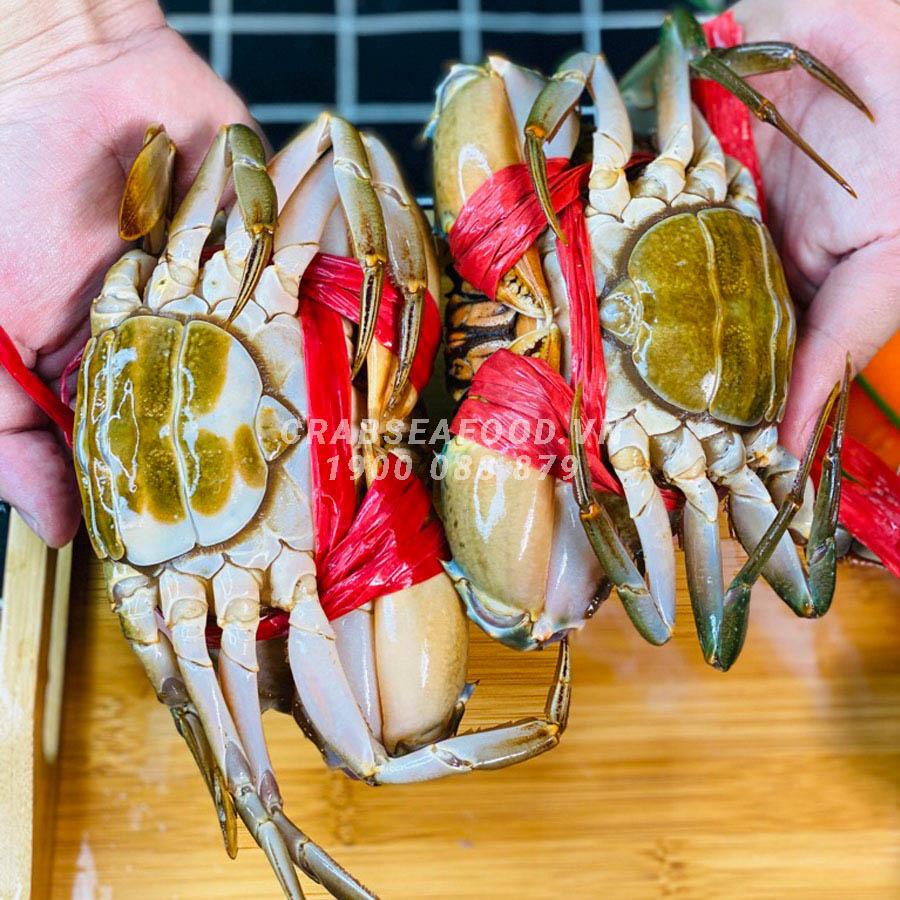 Mua cua gạch sống tại Crab Seafood