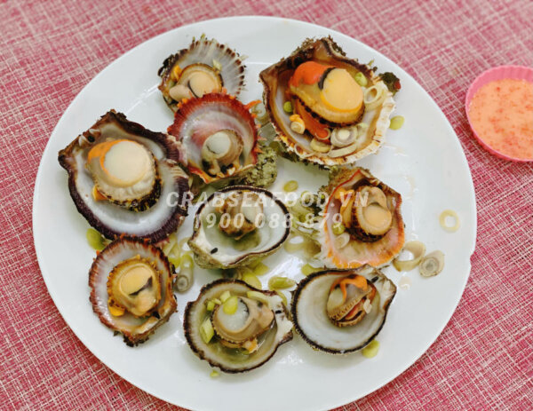 Hàu hương tươi sống - Crab Seafood