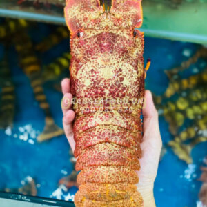 Tôm mũ ni đỏ sống - Crab Seafood