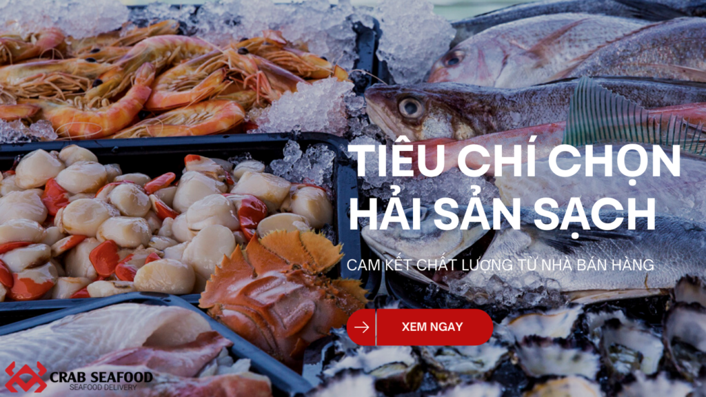 Tiêu Chí Đánh Giá Hải Sản Sạch