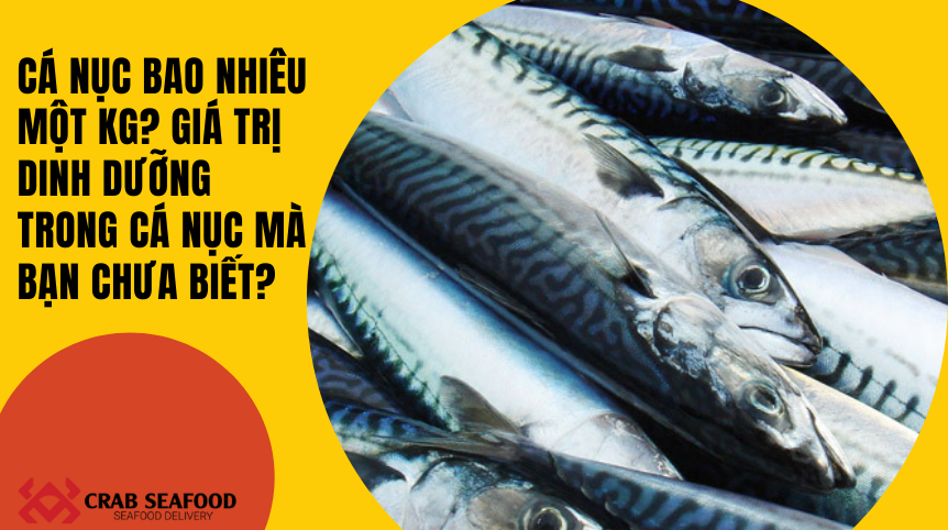 CÁ NỤC BAO NHIÊU MỘT KG?
