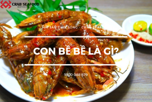 Bề Bề Là Con Gì? Bề Bề Chế Biến Món Gì Ngon? | CrabSeafood.vn