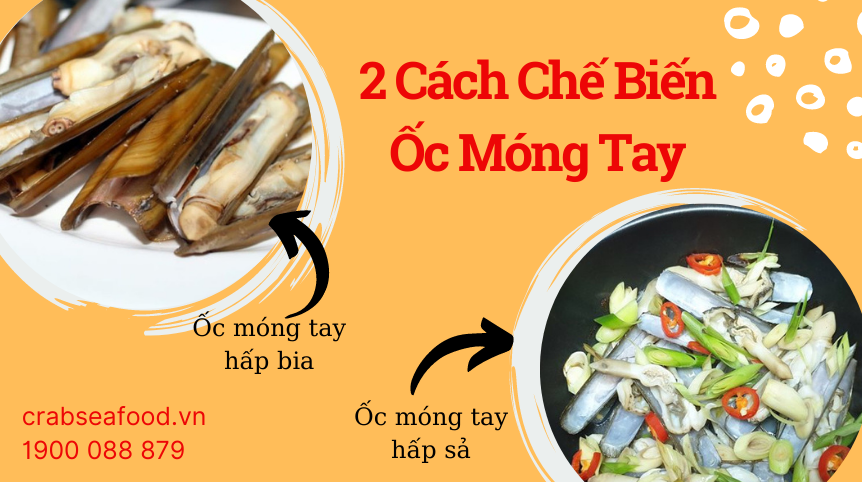 2 Cách Chế Biến Ốc Móng Tay Hấp Sả Và Hấp Bia Thơm Ngon | Crab Seafood